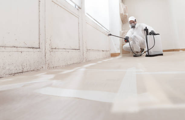 24/7 Emergency Mold Cleanup experts in Fairfax, VA